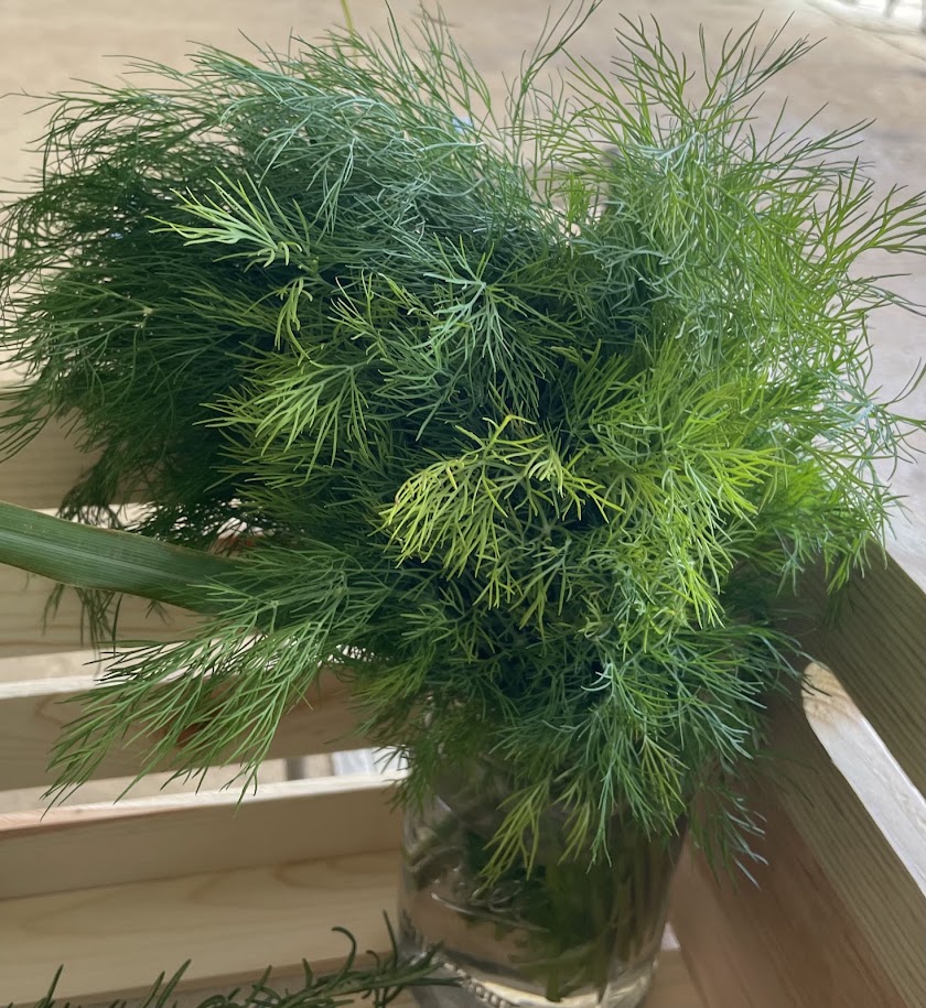 Fresh Herbs