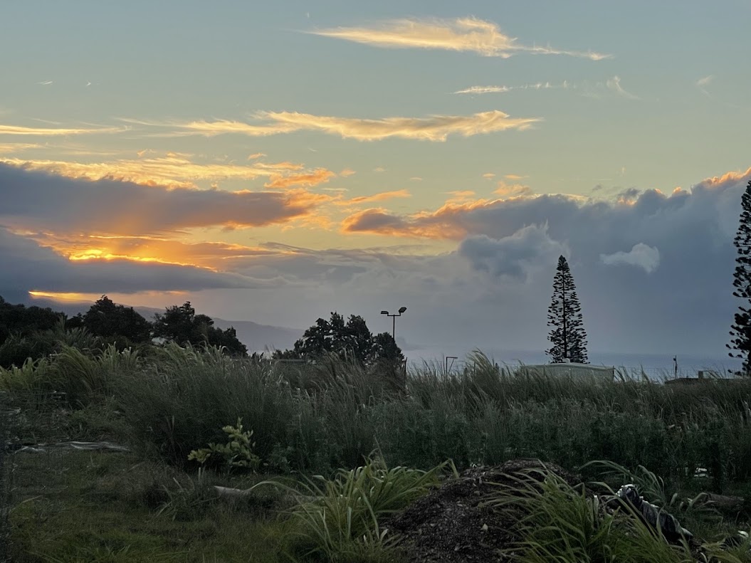 Kūʻono Farm
